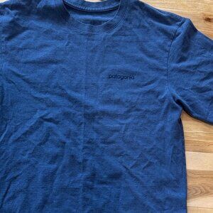 Patagonia Men's Tee